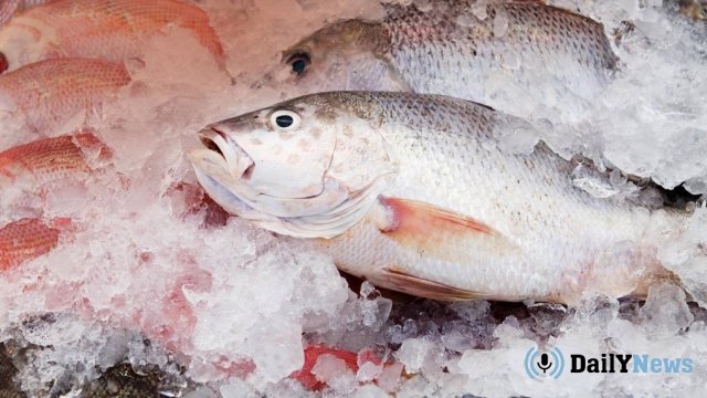 Специалисты из Томска изобрели приспособление для определения свежести рыбы