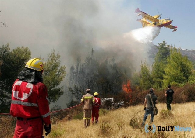 Представителей Рослесхоза обвинили в бездействии по факту тушения лесных пожаров
