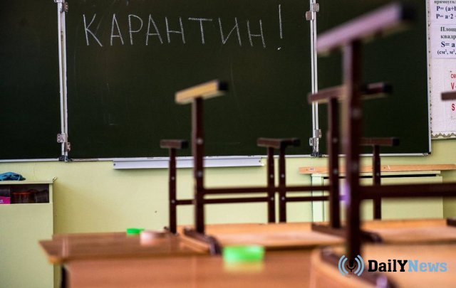 Дети одной из школ Челябинской области заразились лишаем