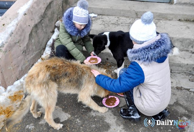Почетную эмблему «За сострадание животным» предлагают ввести в Петербурге