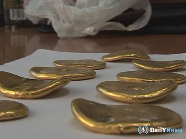 Житель Липецкой области пытался незаконно провести золотые слитки из Тынды