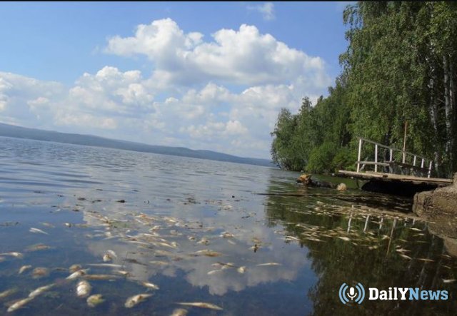 В загрязнении Черноисточинского пруда в Нижнем Тагиле обвинили местных жителей