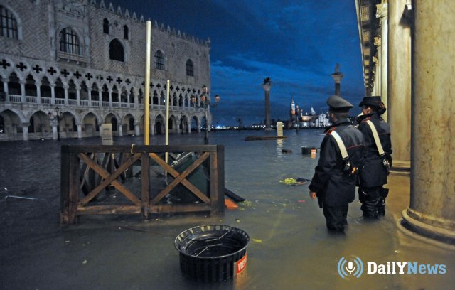 Тур в Венецию отменили 4 круизных лайнера