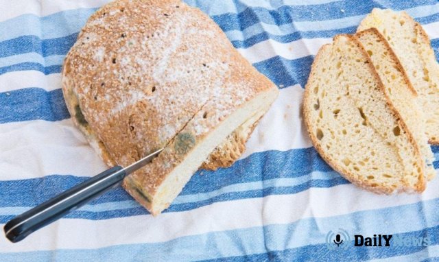 Эксперты рассказали почему нельзя употреблять в пищу хлеб, с которого срезали плесень