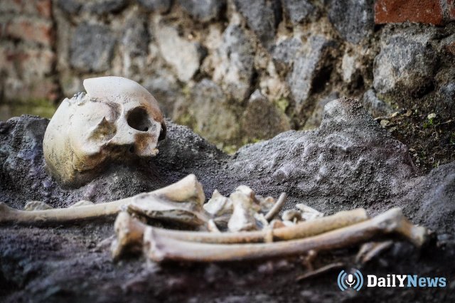 Деньги и скелет пропавшей пенсионерки нашли в Ленобласти