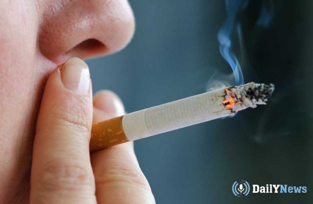 Эксперты в «Сколково» рассказали о количестве россиян, которые перешли с сигарет на вейпы