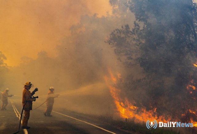 В Австралии выросло число жертв пожаров