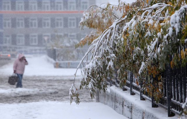 Российские синоптики рассказали о том, почему нынешняя зима отличается высокими температурами