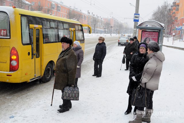 О введении новых автобусных маршрутов просят жители Брянска