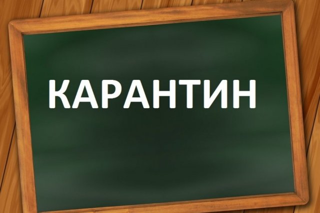 Карантин ввели в школах Хабаровского края
