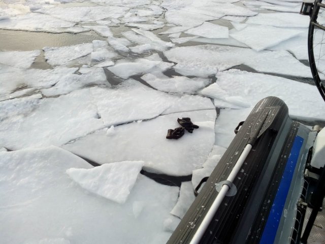 Житель Иркутской области провалился под лёд