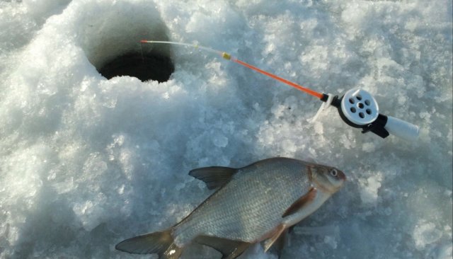 Сотрудники МЧС Приморского края призывают отказаться от рыбалки из-за тонкого льда