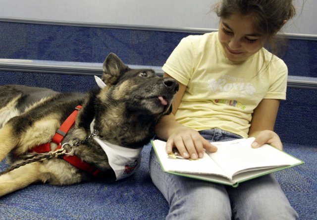 Урок чтения в библиотеке в Долгопрудном состоялся с участием собаки
