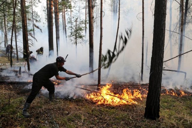 Противопожарный режим ввели в Краснодарском крае