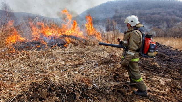 Подготовка к пожароопасному сезону стартовала в Тверской области