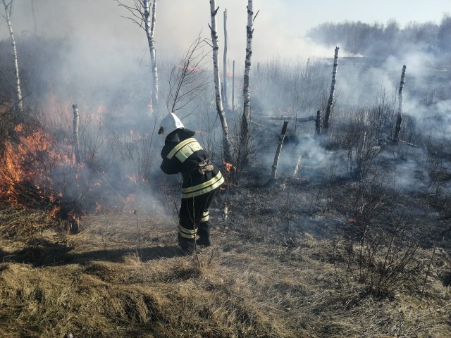 4 лестных пожара зафиксировали в Калужской области за сутки