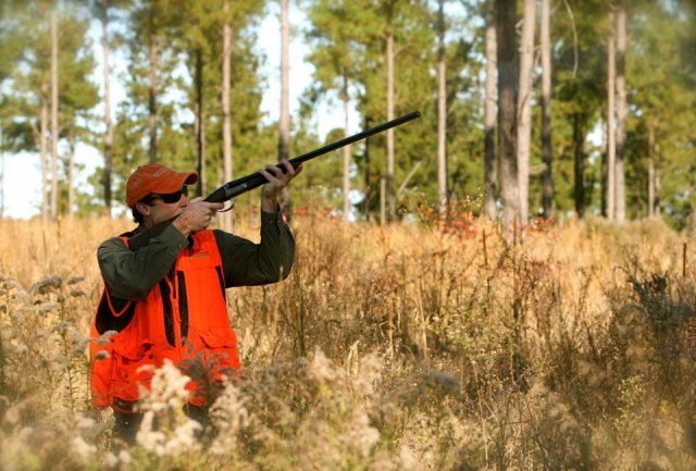 В Рязанской области состоится проверка охотничьих угодий