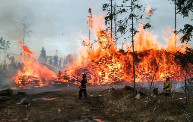 В России безответственность людей назвали самым распространенным фактором пожаров