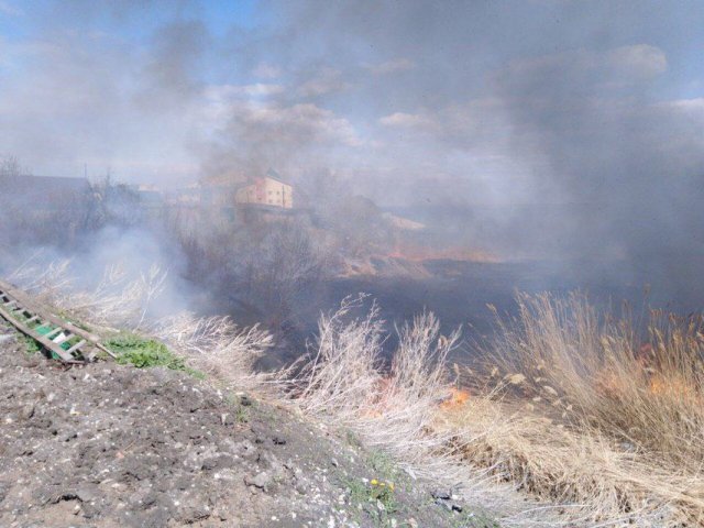 100 случаев возгорания сухой травы зафиксированы в Саратовской области