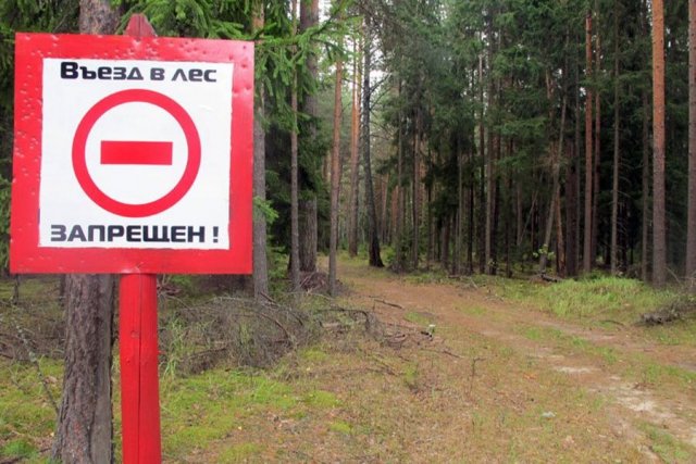 В Крыму сообщили о продлении запрета на посещение лесов