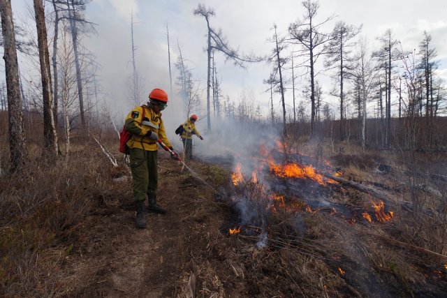 Лесные пожары участились в Якутии