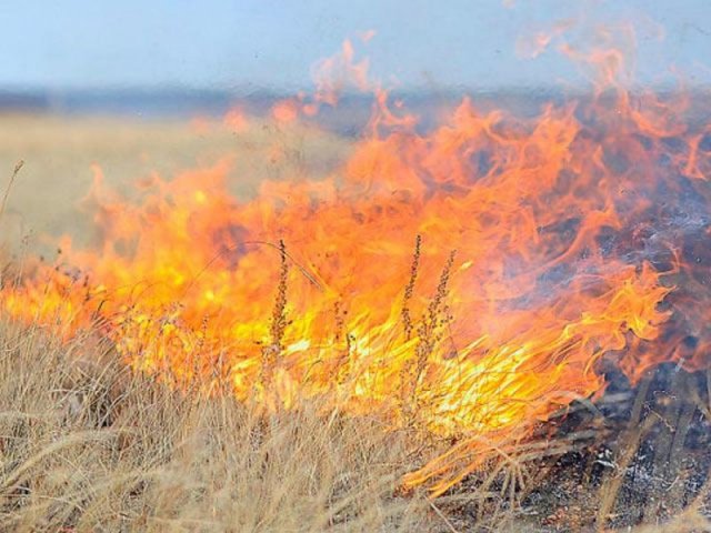 Более тысячи степных пожаров зафиксированы в Оренбургской области с начала года