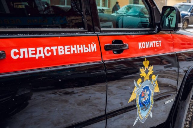 По факту смерти ребенка от истощения проводится расследование во Владимирской области