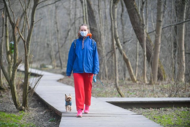 Заниматься спортом и гулять с использованием медицинских масок разрешено в Москве