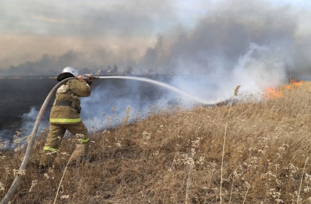 В Курганской области объявили о введении режима чрезвычайной пожарной опасности