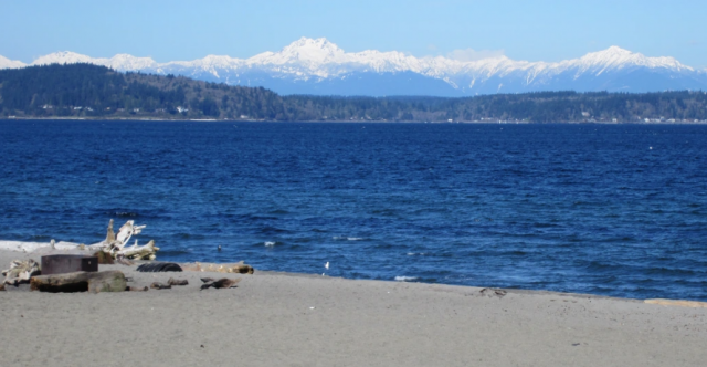 Человеческие останки были обнаружены на пляже в Сиэтле