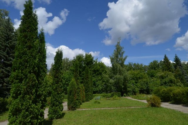 Дендропарк в Ульяновске станет доступен к посещению