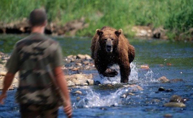 На Камчатке рыбак пострадал из-за нападения медведя