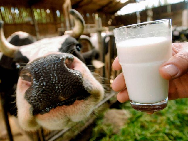 В Хабаровске местная жительница заразилась энцефалитом, употребив молоко