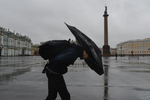 Из-за падения деревьев в Санкт-Петербурге травмированы несколько человек