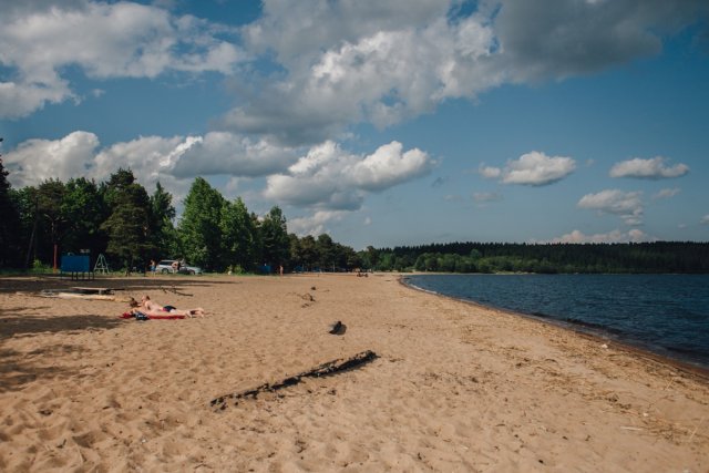 На территории одного из пляжей Петрозаводска обнаружены кишечная палочка
