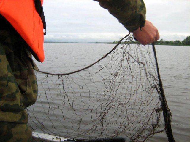 Браконьера привлекут к ответственности за ловлю рыбы на Новосибирском водохранилище