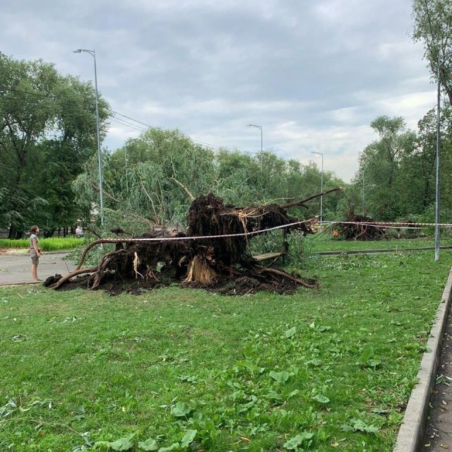 Ликвидацией последствий урагана занимаются в Челябинске