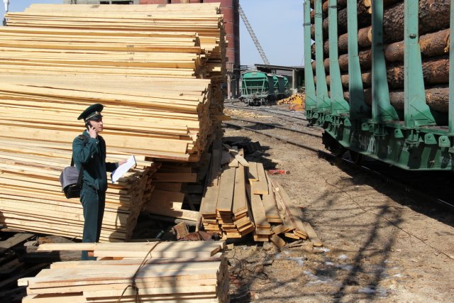 Предпринимателя из Иркутска обвиняют в контрабанде леса на 35 млн. рублей