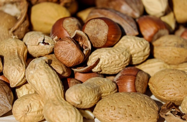 Орехи, которые содержат больше всего белка