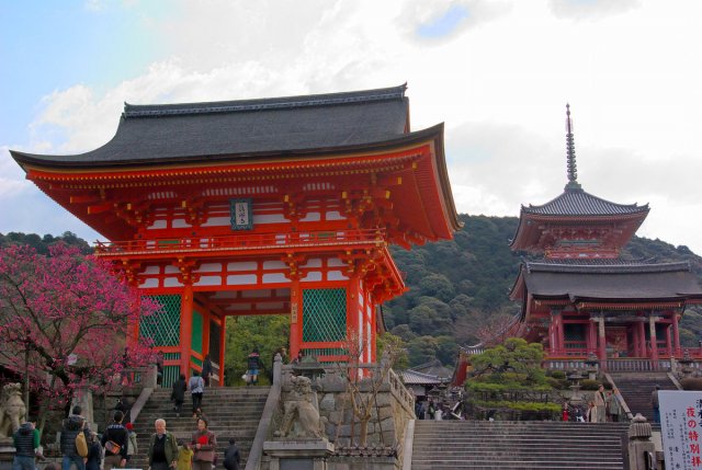 Неизвестный в Японии совершил ограбление в храме более 100 раз
