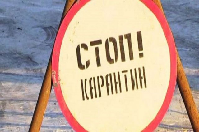 В Тамбовской области зафиксирован новый очаг бешенства