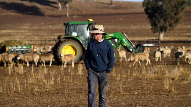 Карантин в Австралии привёл к проблемам у крестьян с обеспечением скота кормом