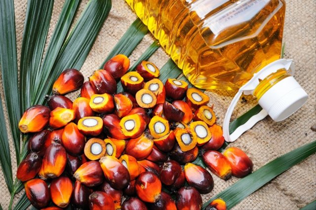 Пальмовое масло – польза или вред для здоровья? Мнение эксперта