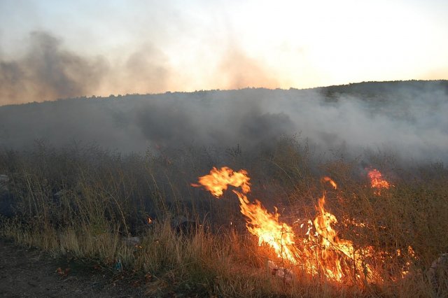 Тушением пожара на полуострове Атарган занимаются совместно с добровольцами
