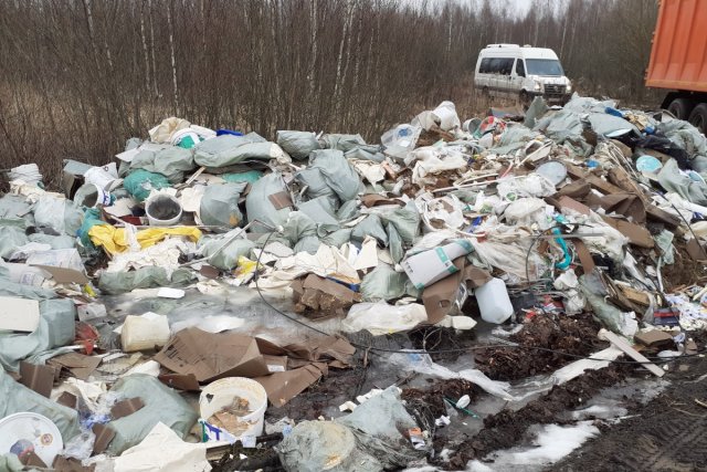 В Псковской области завершена ликвидация несанкционированной мусорной свалки