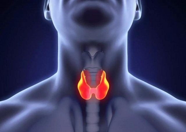 Как распознать наличие проблем с щитовидной железой и чем это грозит