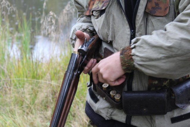 36 случаев браконьерства было зафиксировано в Тверской области в 2020 году