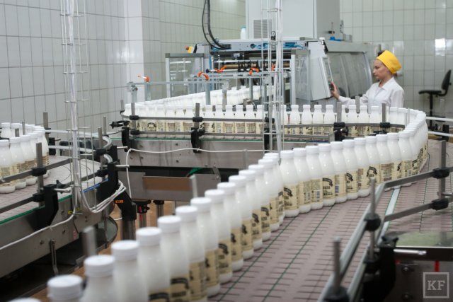 Производство молока значительно возросло в Псковской области
