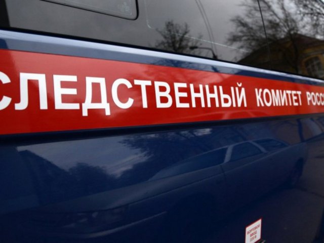 По факту смерти роженицы в Ульяновской области возбуждено уголовное дело