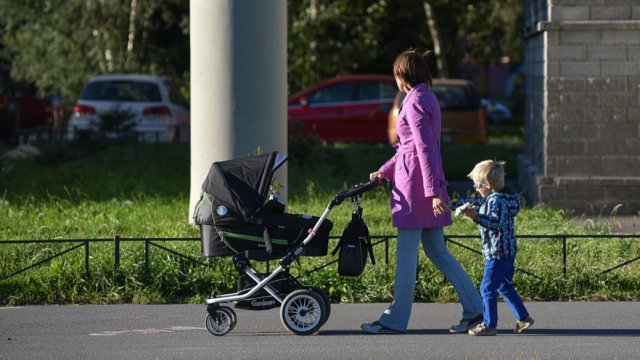 В Государственной думе России решили запустить программу "Семейный индекс"